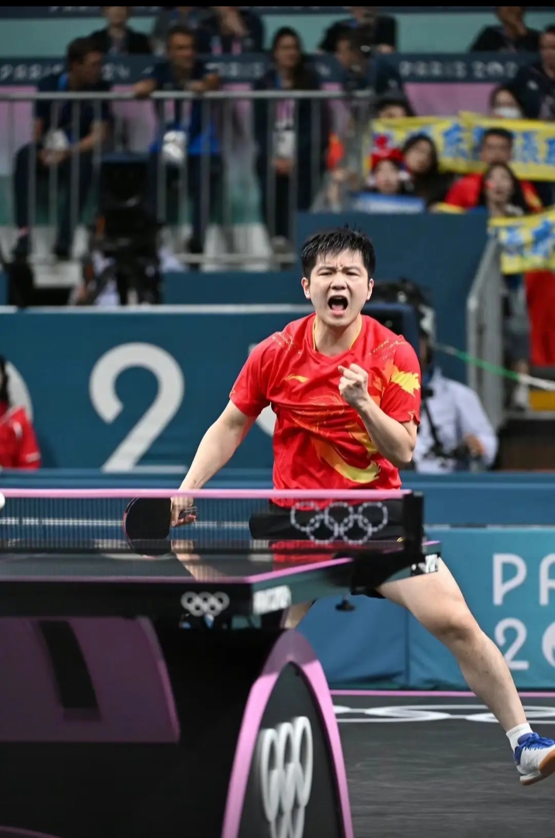 奥地利队力克波兰队，樊振东高光表现